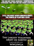 Frog-Army-Seed