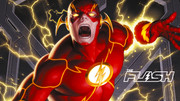 flash8wp
