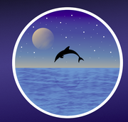 [Image: Capture-d-cran-2020-02-20-16-07-56.png]