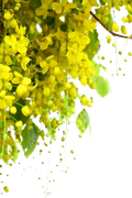 Photoroom-20250412-074843