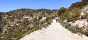 (29/02/2020) Sierra de El Carche El-carche-by-ASNOBIKE-33