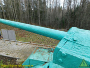 DSCN5250