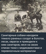 https://i.postimg.cc/TpbsVxc1/photo-2026-06-28-02-41-55.jpg