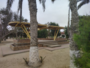 IMG-20260617-095143948-HDR