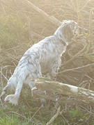 papyjeff 20190326-182552