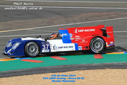 24 HEURES DU MANS YEAR BY YEAR PART SIX 2010 - 2019 - Page 21 2014-LM-37-Nicolas-Minassian-Kirill-Ladygin-Maurizio-Mediani-01