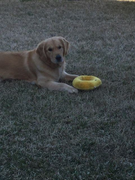 image_2023-02-02_230247753