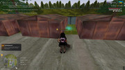 IMG-6368