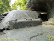 IMG-5581