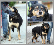 Be-Funky-collage-21.jpg&key=8a6d2bf3ac0a