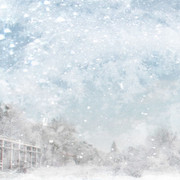 Z-ATaste-Of-Winter-Papers-14