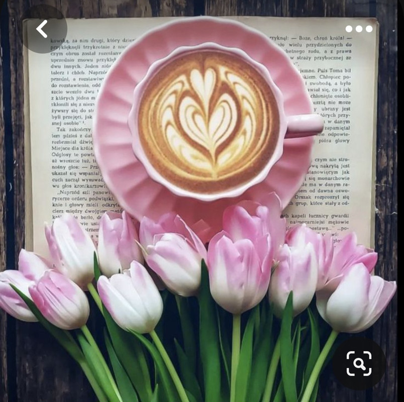 Screenshot_20230517_005710_Pinterest