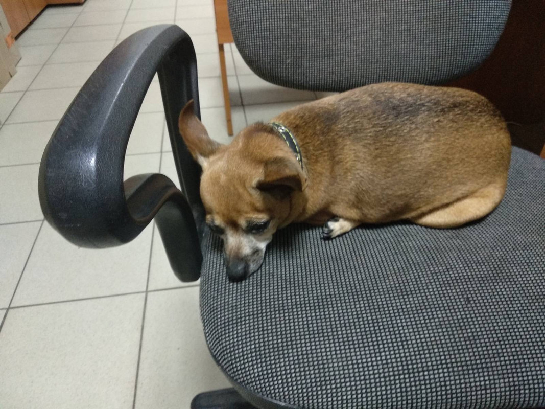 E11017F2-2DFC-493E-B272-7B47C6249180