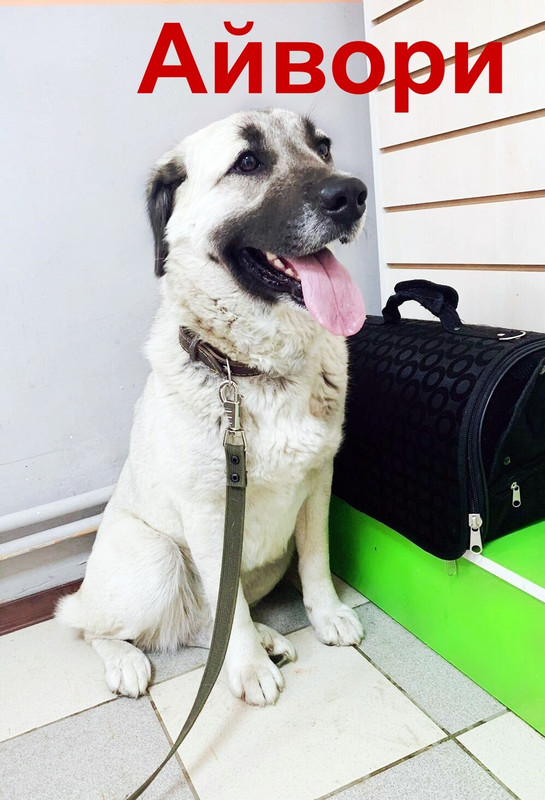 nwaXpGYYink8XRTwWdUJcijP8rxVv3aBv_7aSQ81kfI5GoGe-JrUKe7BWnqzEL5p6v0HvKYa2WjeX807OBIZs9_8