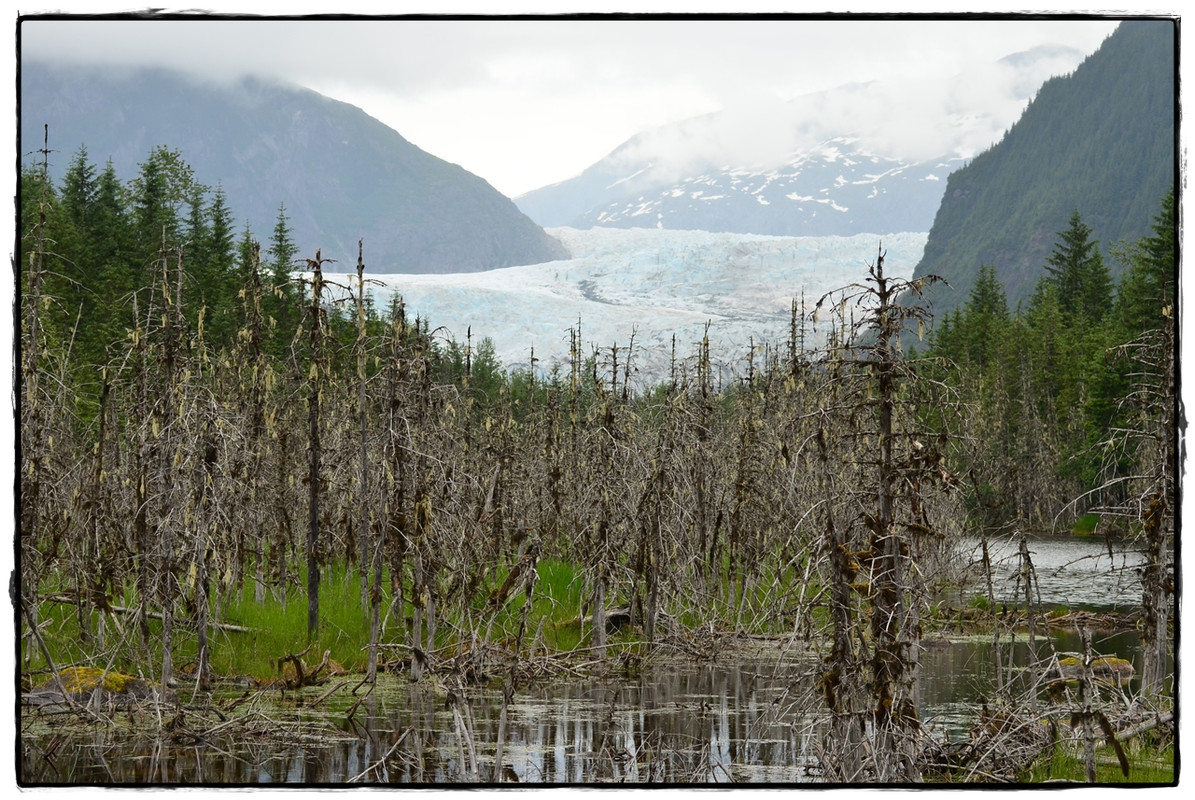 Alaska por tierra, mar y aire - Blogs de America Norte - 24 de junio. Juneau (10)