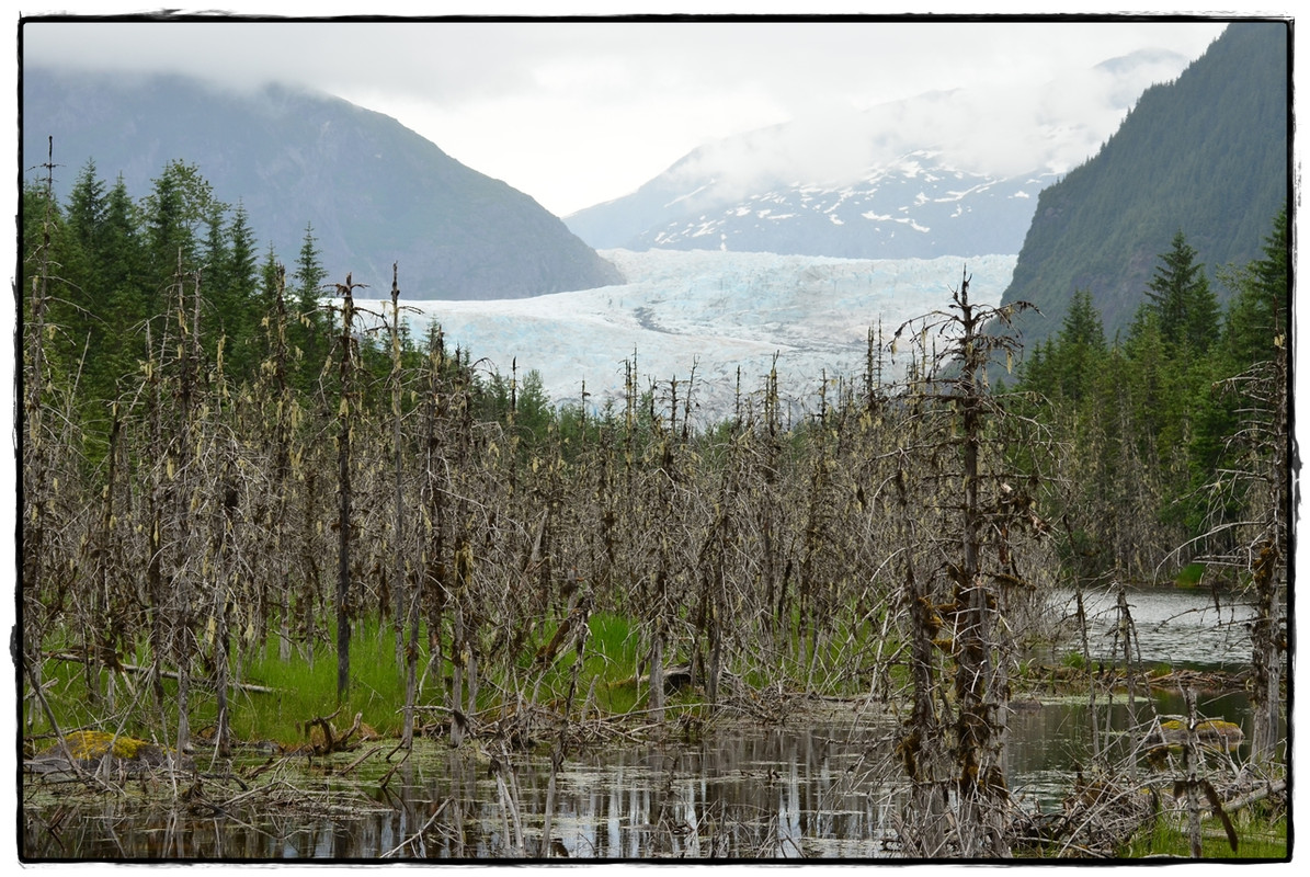 24 de junio. Juneau - Alaska por tierra, mar y aire (10)