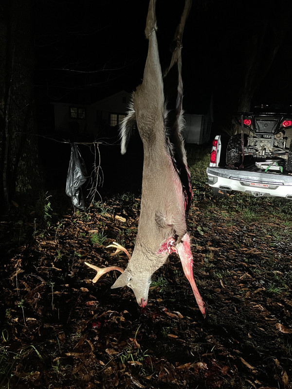 DCD9EC73-5D13-4705-872D-01863C79710E