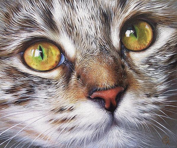 tabby-look-elena-kolotusha