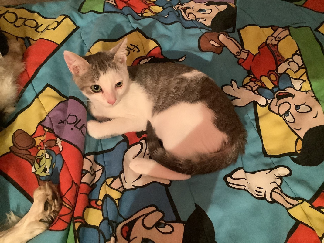 0BD2E19F-3853-4E78-92D6-F7C907B9D3DC