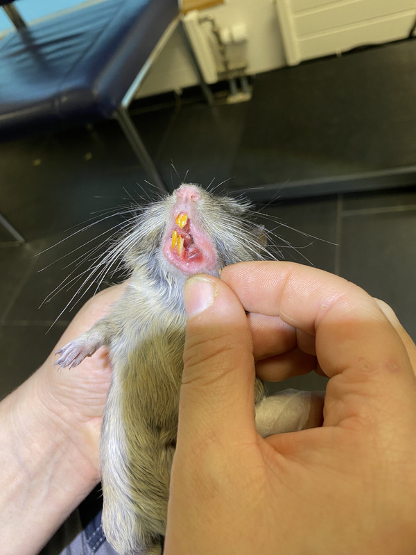 ED1898AE-B970-4D49-82B1-881A21C7EF25