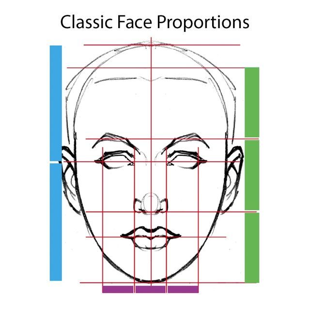 Classic Face Proportions