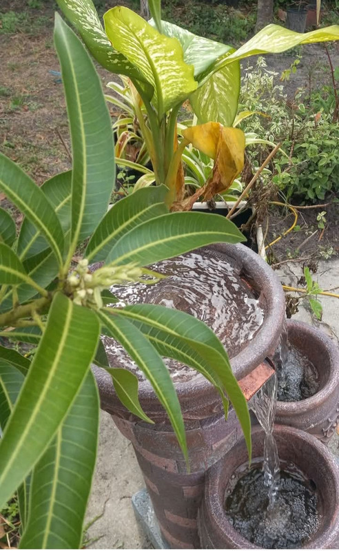 Screenshot_20250121-073146_Facebook