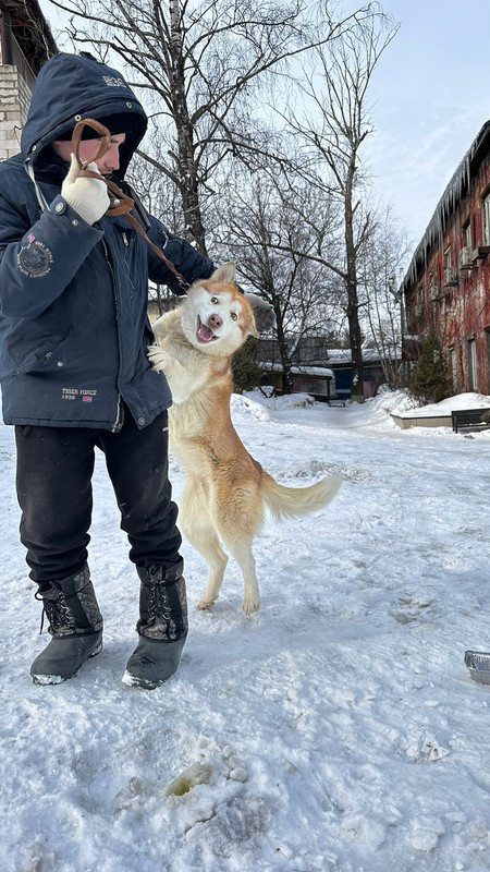 WhatsApp Image 2024-02-26 at 14.29.40 (3)