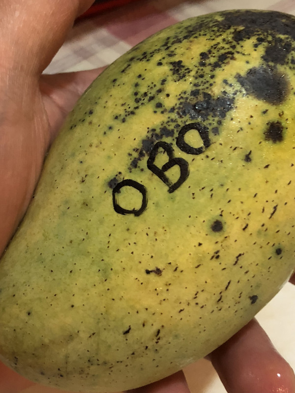 D58EB874-3E7B-45A8-9D5E-C3A5099720B2