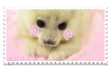 seal