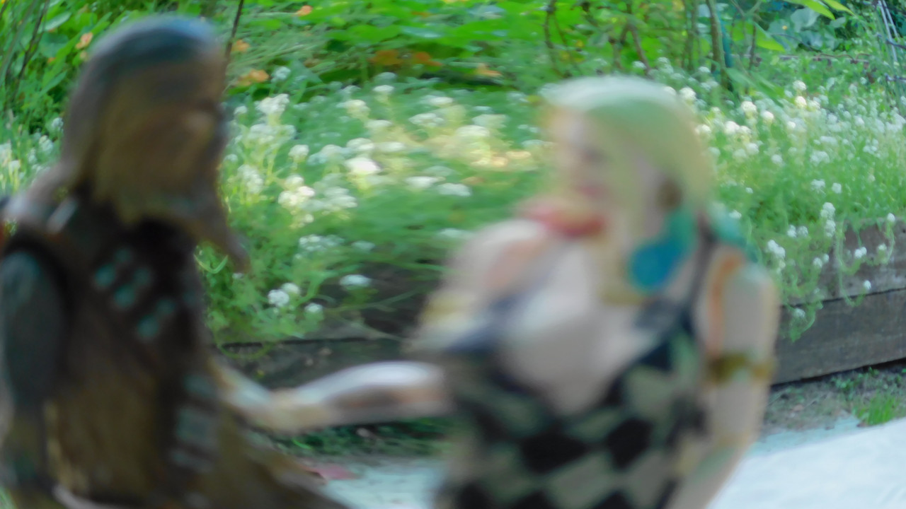 Дачно-барбейское июль, Харлинское 2-я серия 240