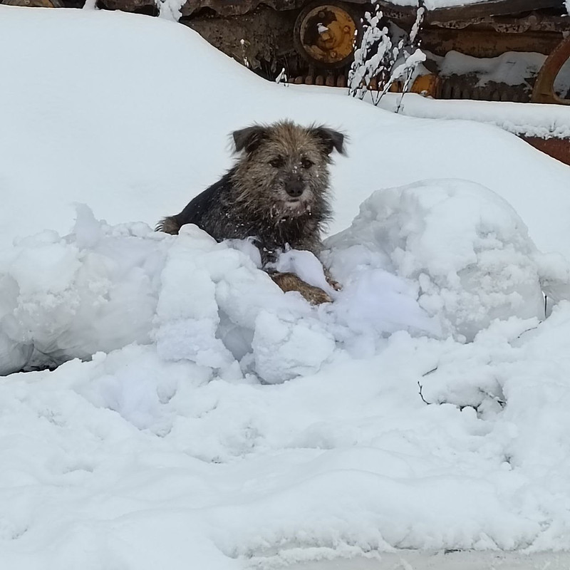 photo_2022-11-27_14-39-51 (2)