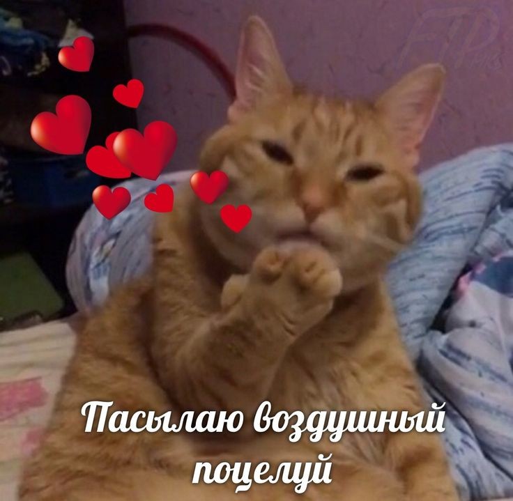 0-XSI6bek-AQ.jpg