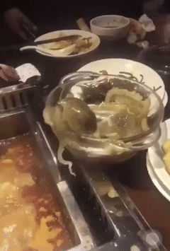 gif-OCTOPUS.gif