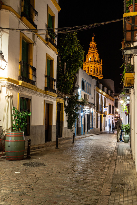 IMG_1868 (FILEminimizer)