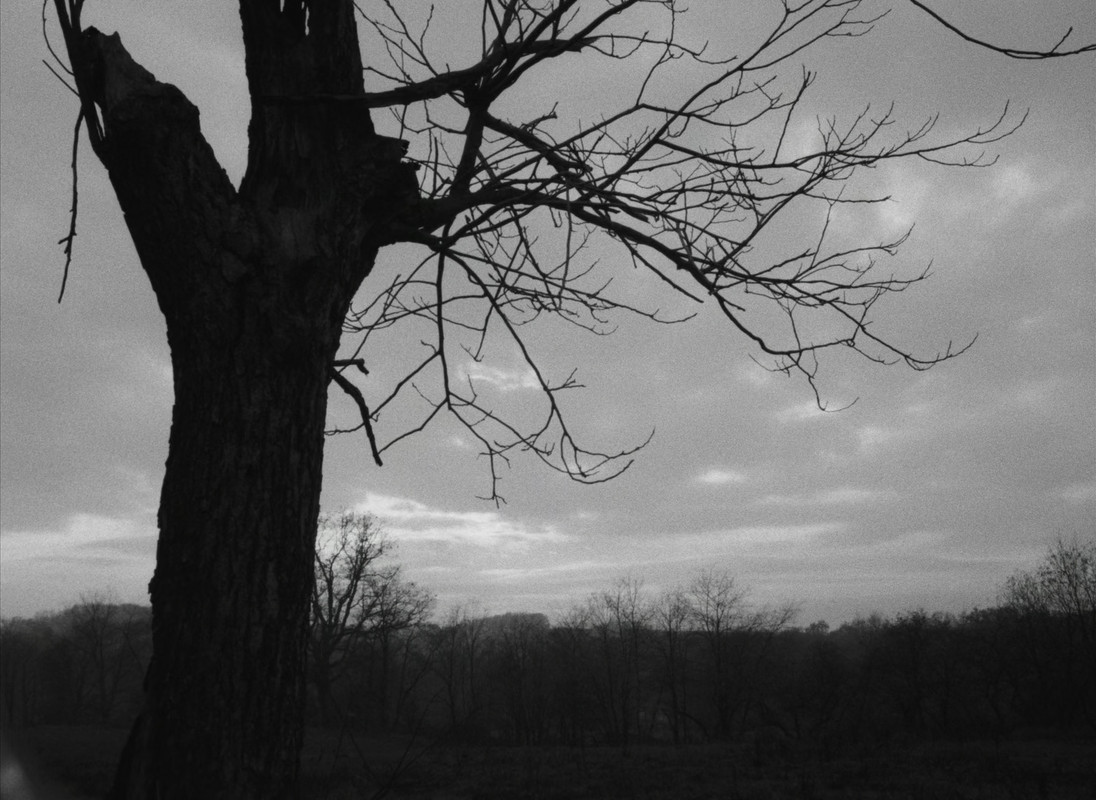 Night of the Living Dead (1968) Criterion.mkv_snapshot_01.30.05_