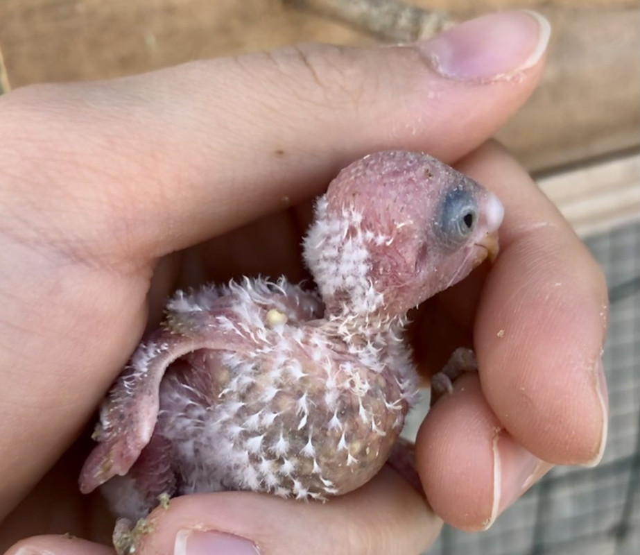 02A0B62C-2072-46F2-B6D1-55260940E3FC