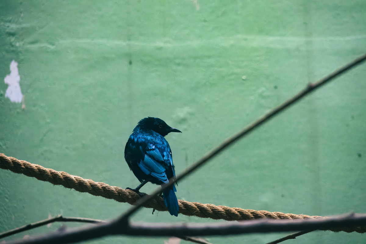 korea2024LRexport-49