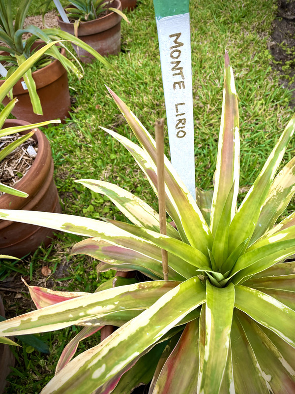 1488712F-4378-43C9-9BAB-CDC6BA3C80DA