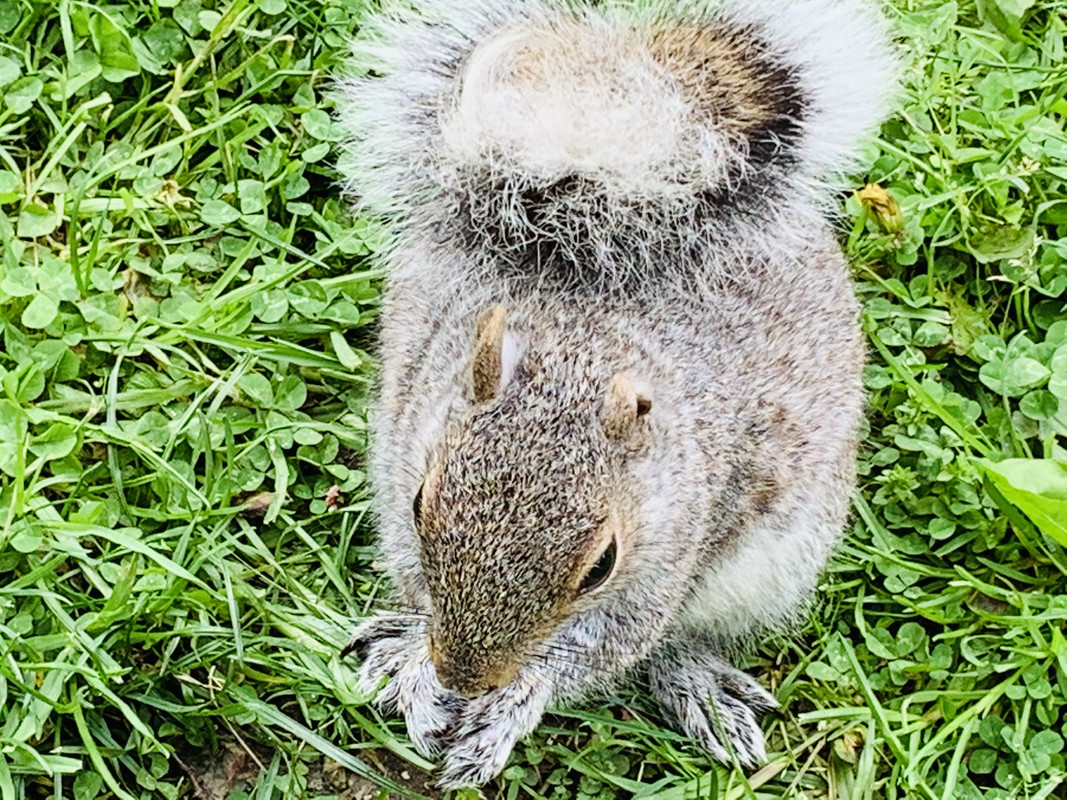 D9F830CD-C67E-4924-836B-62341D8ABC02