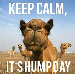 humpday