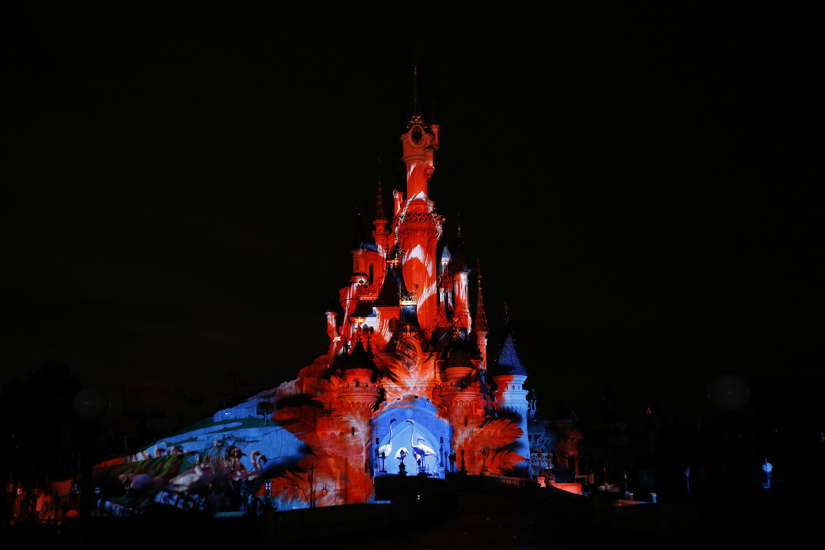 img (12)