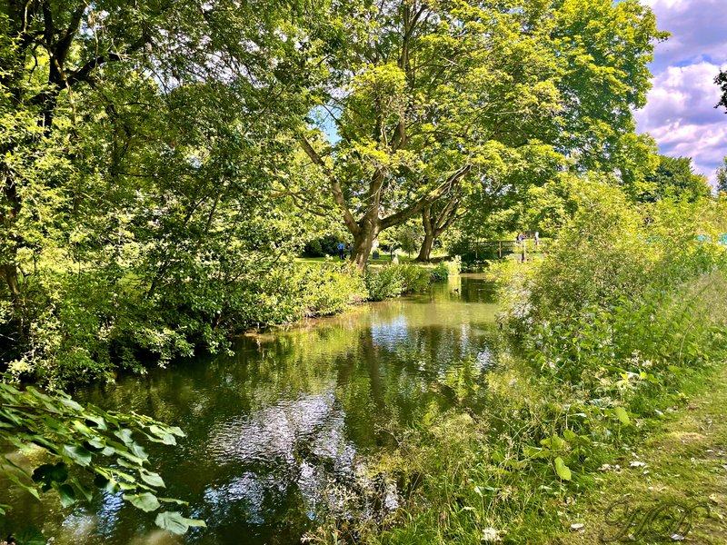 Cas-River-HD.jpg