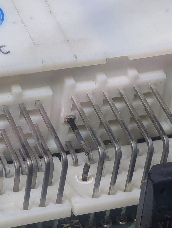 467458263_1408976773397039_6942938265438477148_n