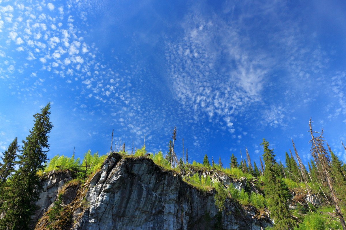 IMG_5945 (9000 x 6000)