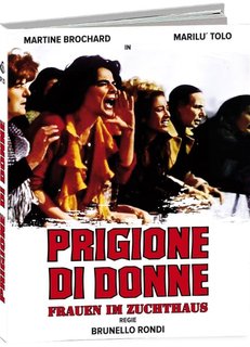 Prigione di donne (1974) .mkv HD 720p HEVC x265 AC3 ITA-ENG