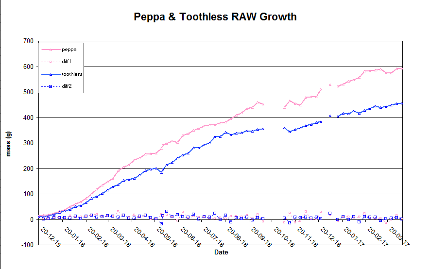 Bearded Dragon Growth Chart