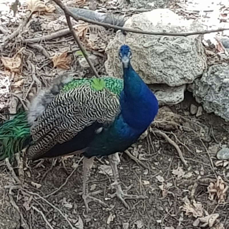 044 - 20211028_181025