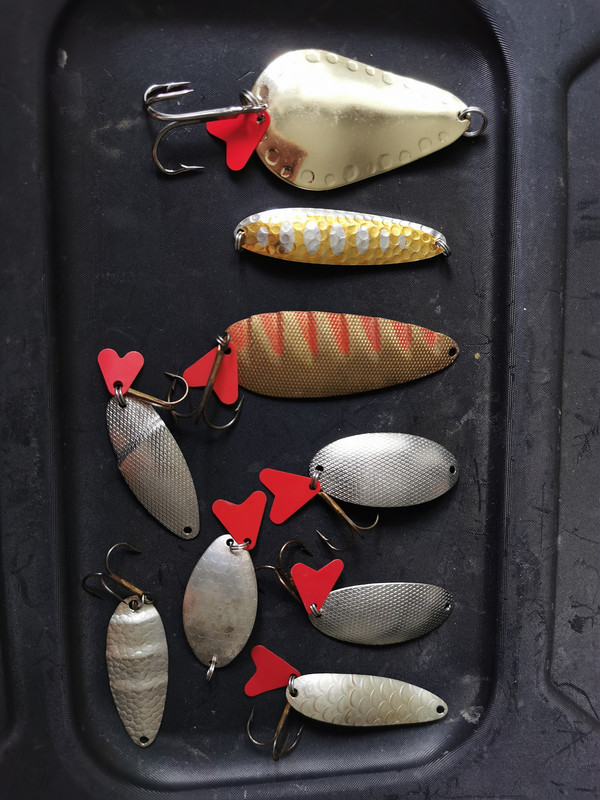 117945384_1061541444306496_4216546979245395143_o (1)