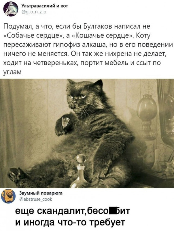 17169909-1.jpg