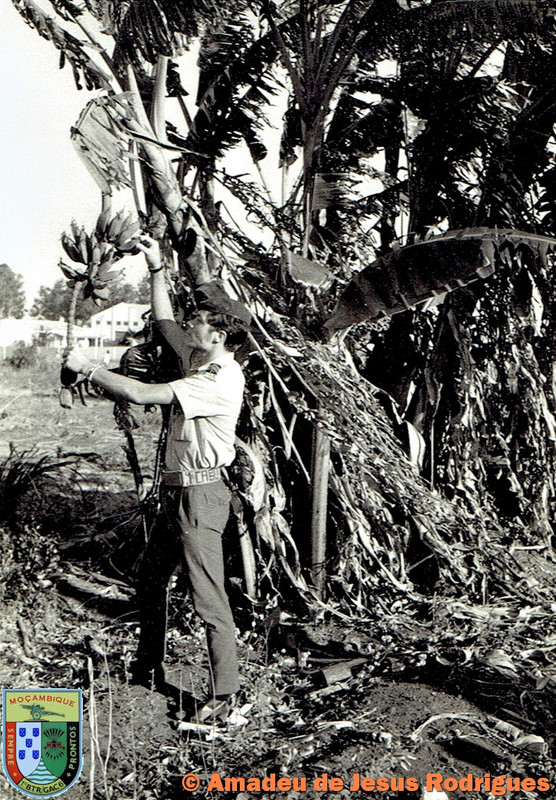 Em-Vila-Cabral-a-apanhar-bananas